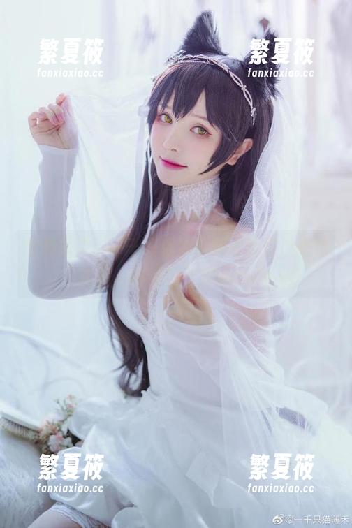 一千只猫薄禾 全集来了!一千只猫薄禾穿水手服,果然比我小时候的梦想还cute