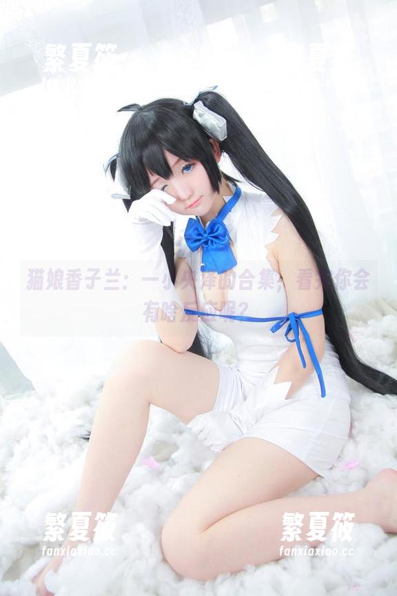 猫娘香子兰：一小央泽的合集，看完你会有啥反应呢？